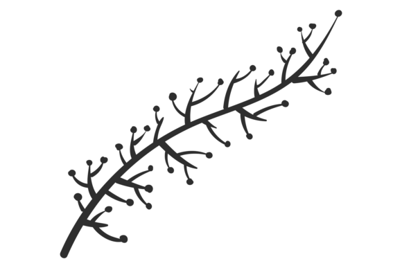 Botany Branch: Your Decorative Garden Plant Asset