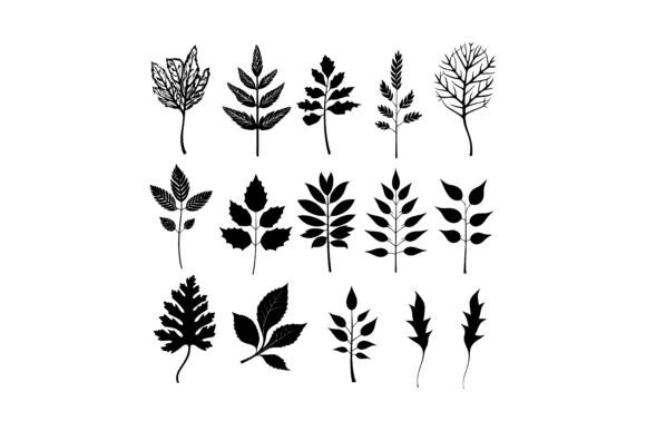 Premium Decorative Leaf Silhouette Set for Designers