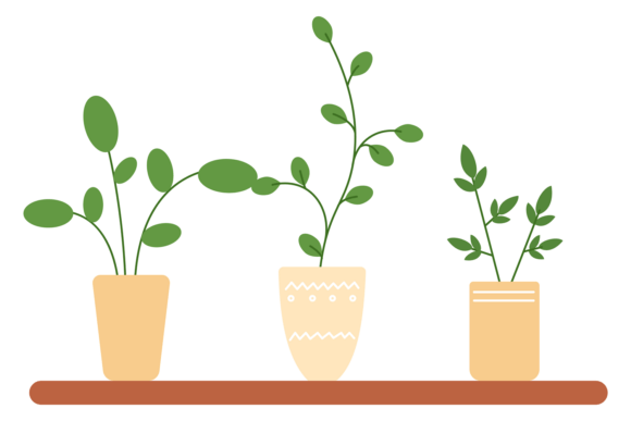 Transforming Spaces with Urban Jungle Plants: A Guide to Decorative Interior Greenery